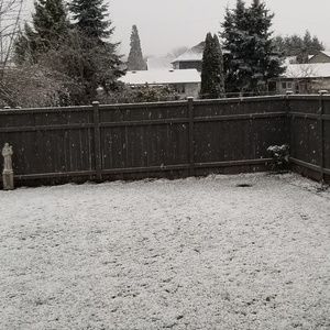 Meet your Posher, Delia